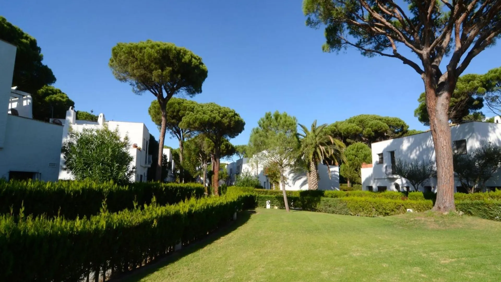 Piverd Del Golf 56 Pals