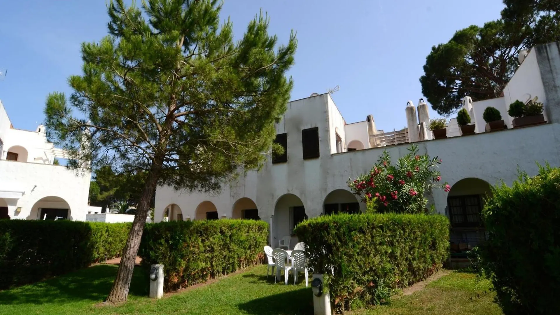 Piverd Del Golf 56 Pals