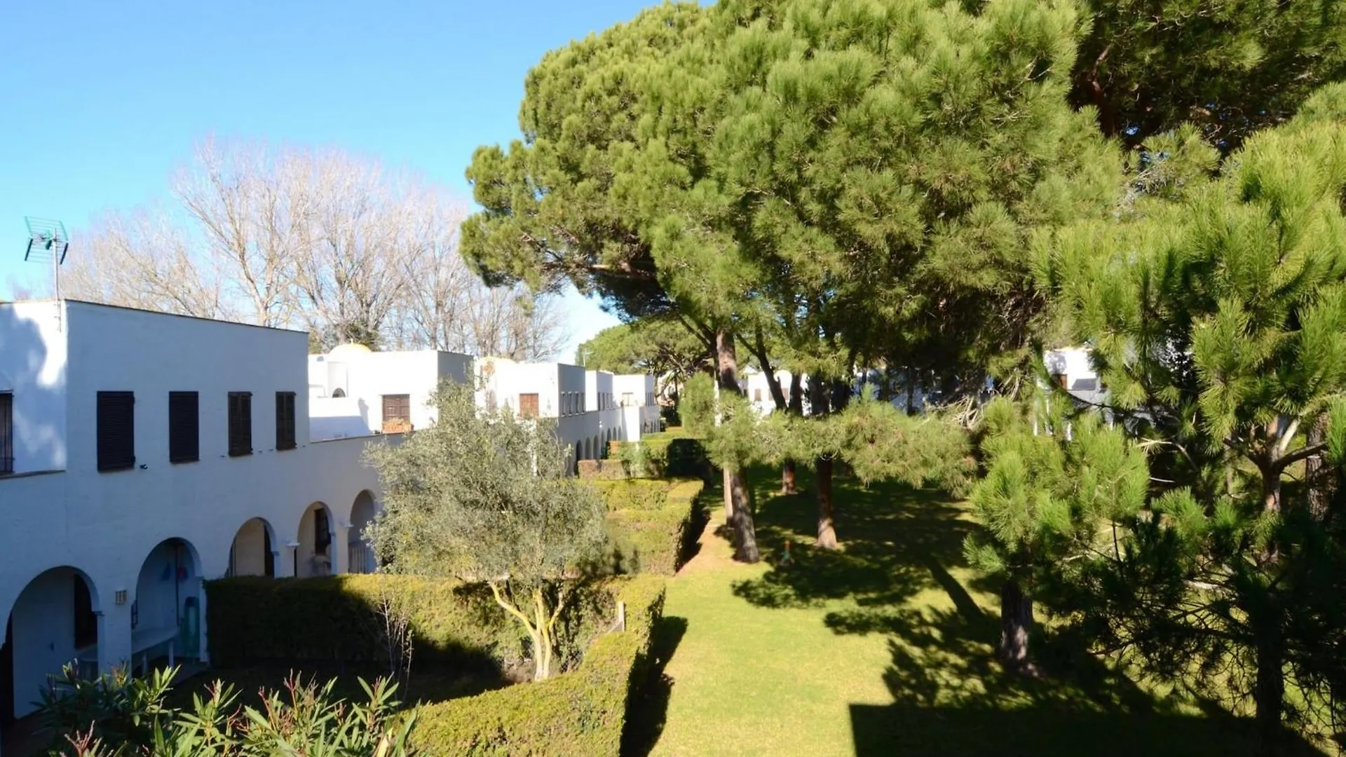 Piverd Del Golf 56 Pals 0*,